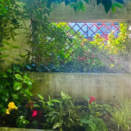 Casa Vacacional Galiana アビレス