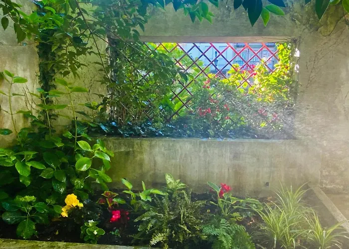 Casa Vacacional Galiana Avilés