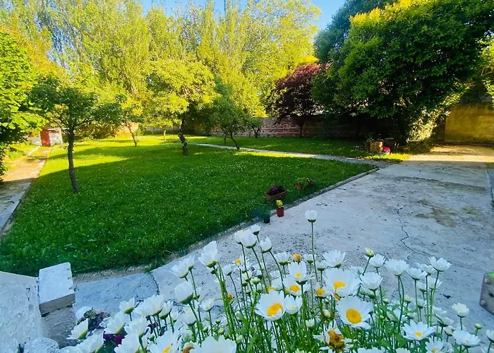 Hébergement de vacances Casa Vacacional Galiana