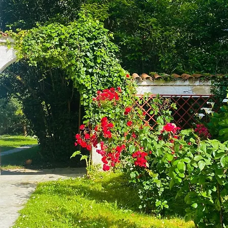 Casa Vacacional Galiana